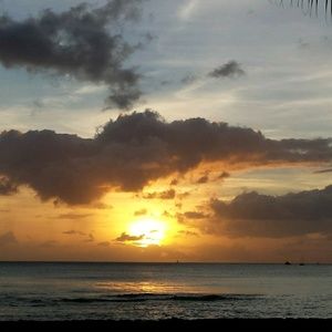 Meet your Posher, Charles